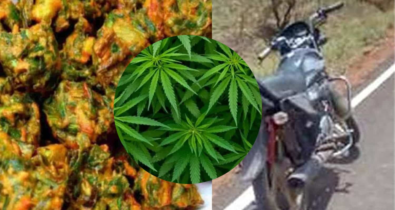 Holi a young man kept riding bike fields for 2 hours eating hemp pakodas