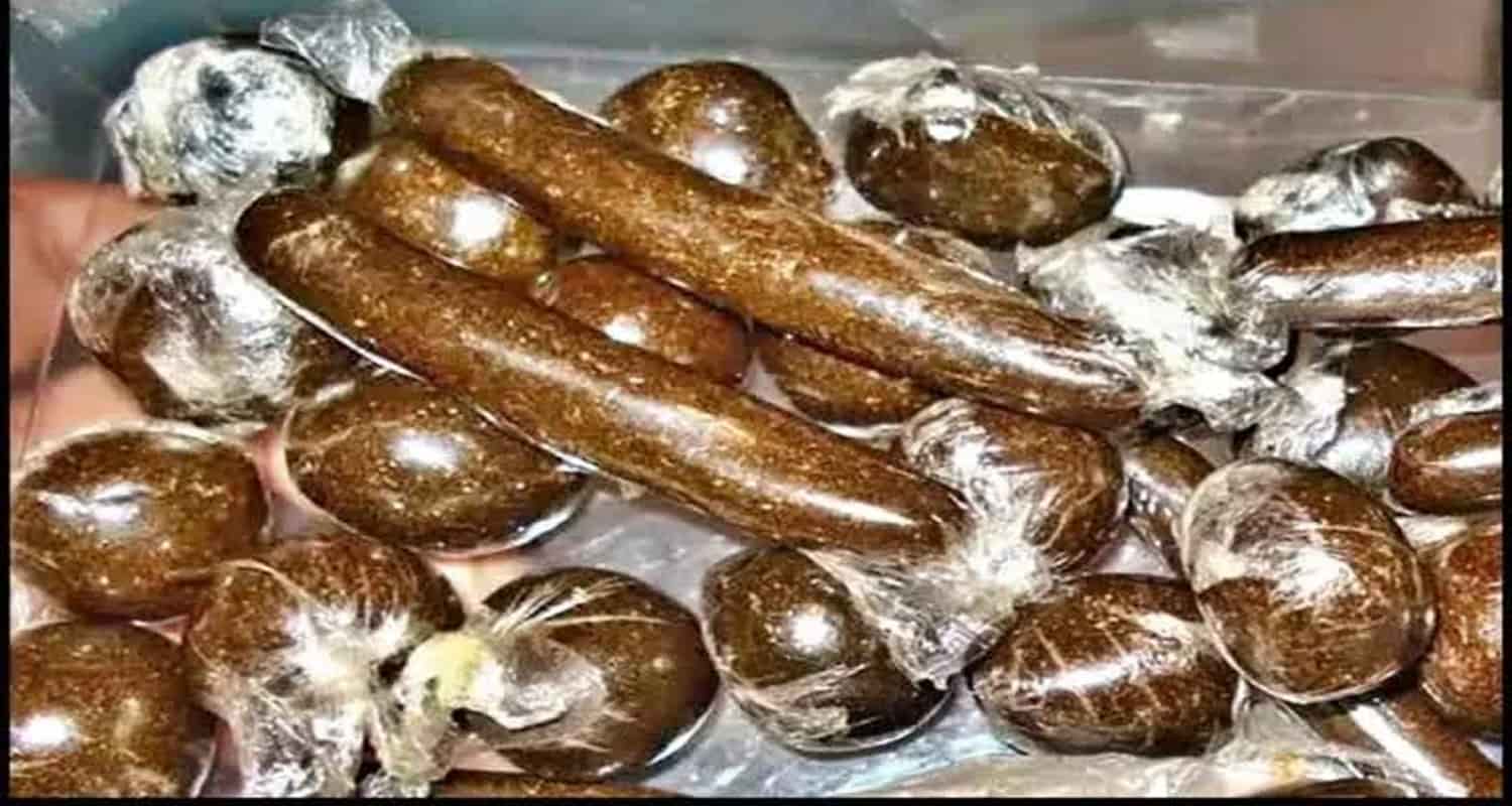 Himachal kullu district youth arrested mumbai two killogram charas