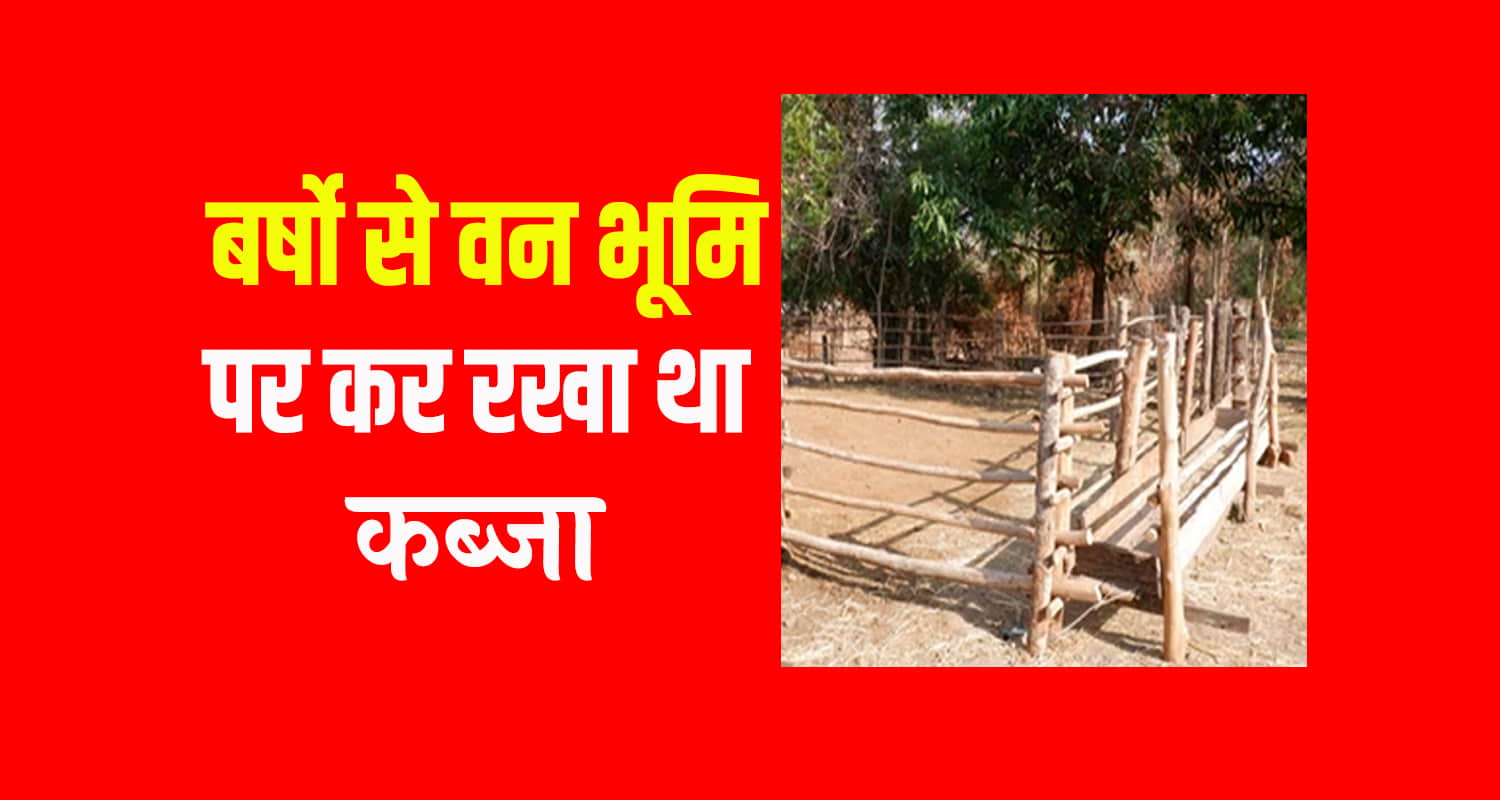 Himachal kangra dheera panchayat ward member forest land illegal encroachment dc kangra action