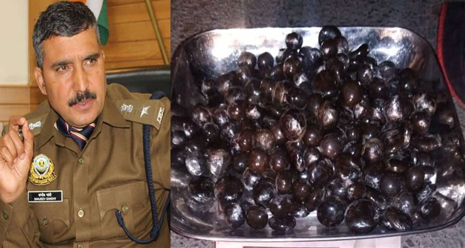 Himachal charas recover worth rs 20 lakh home pakistani drug being sold in shimla