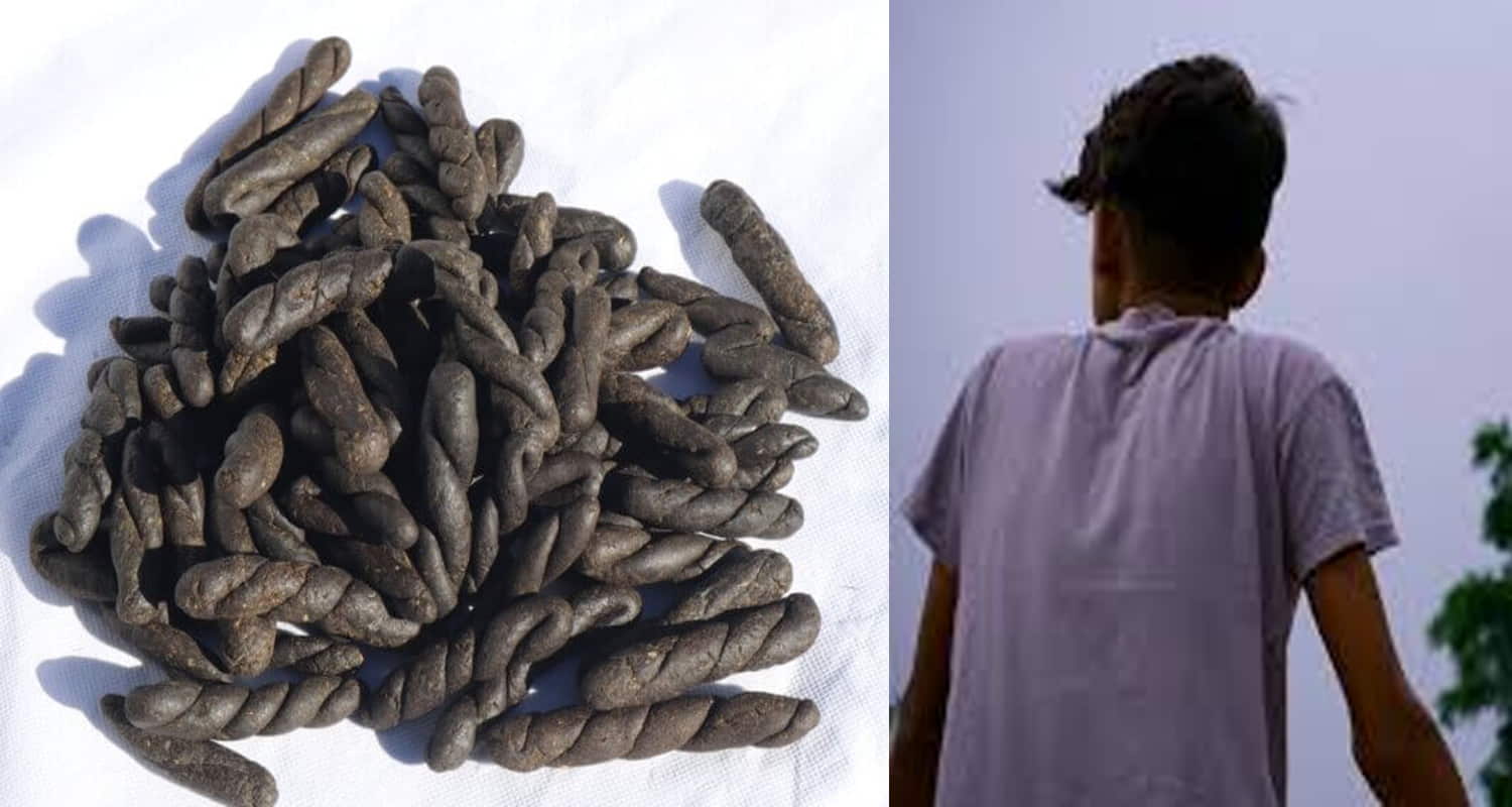 Himachal kullu manali car 30 year old youth charas