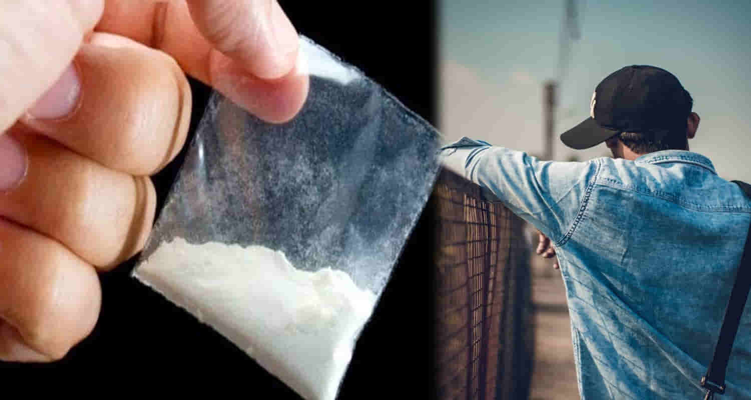 Himachal shimla kumarsain police youth arrest chitta consignment