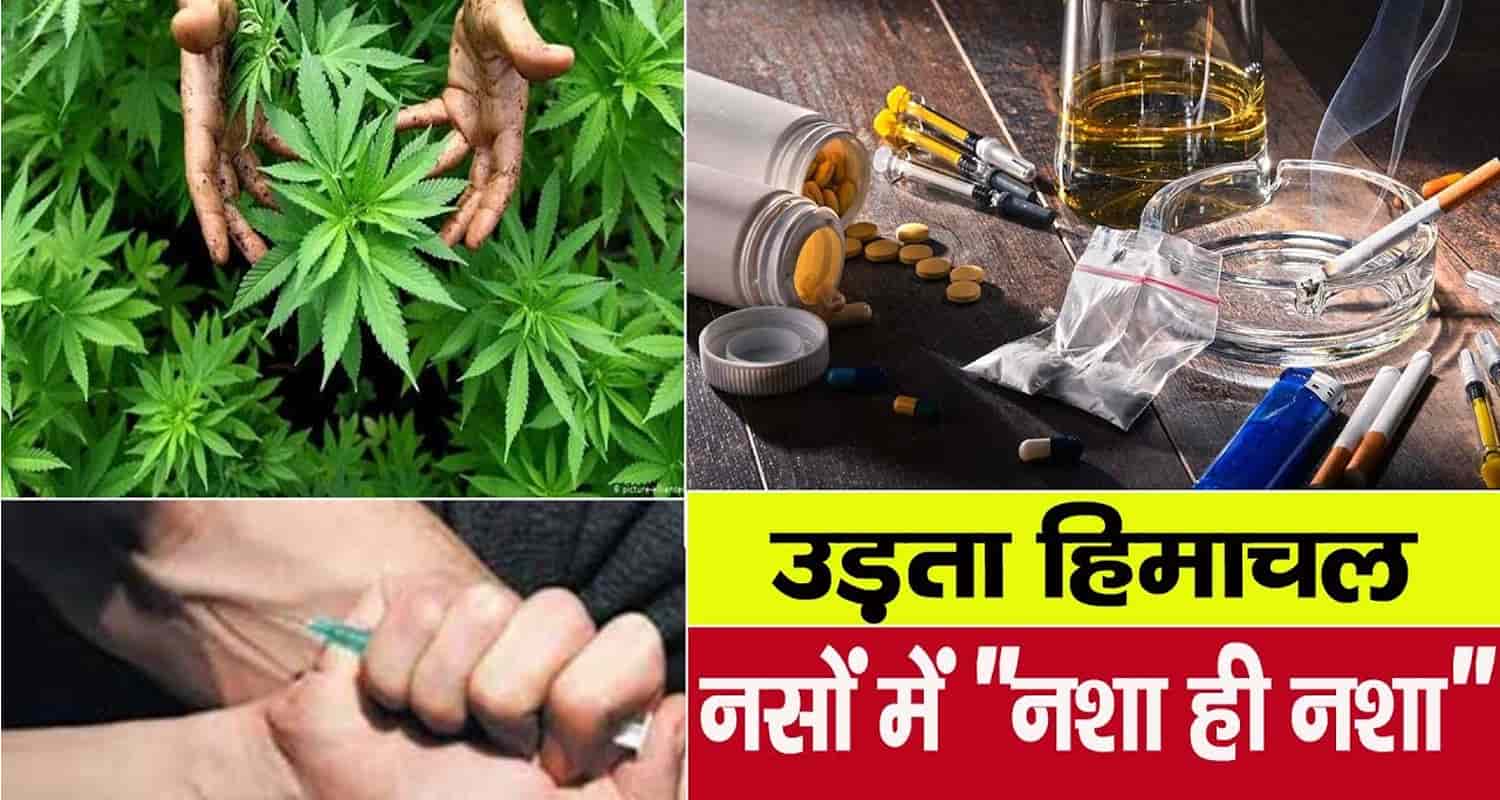 Himachal more than 10 crore drugs and liquor seized in 40 days