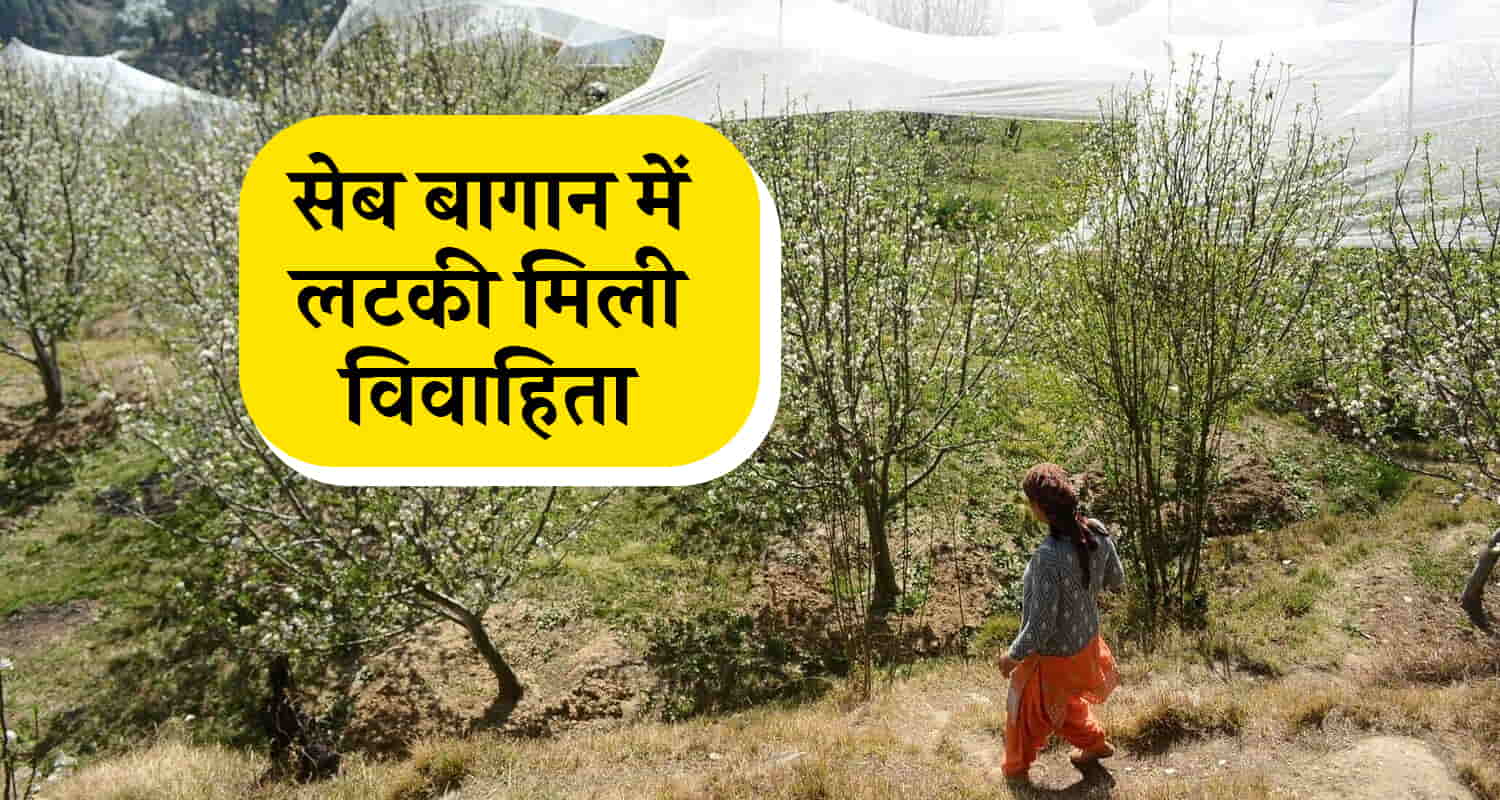 Himachal shimla jubbal nepali women found orchard