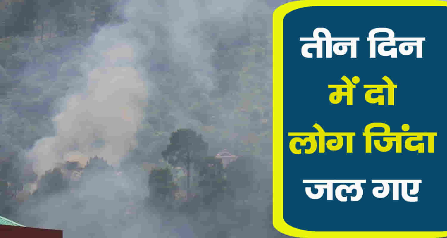 Himachal bilaspur elderly man burnt bushes