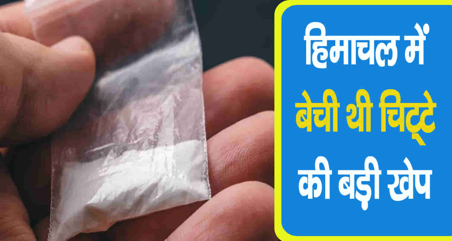 Himachal bilaspur chitta supply punjabi youth arrested