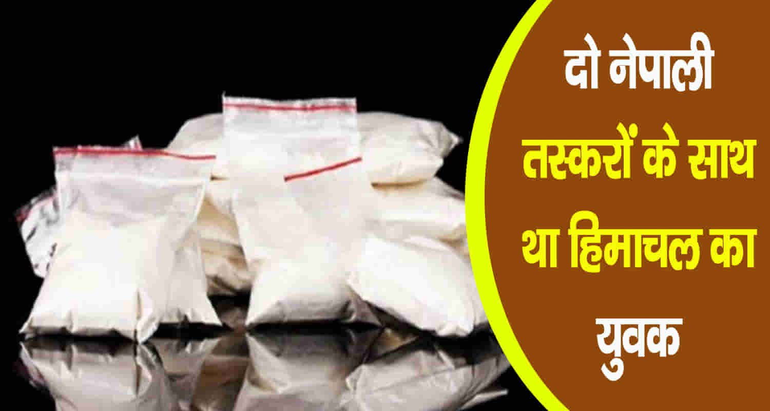 Himachal bilaspur kullu youth three person smuggling consignment chitta