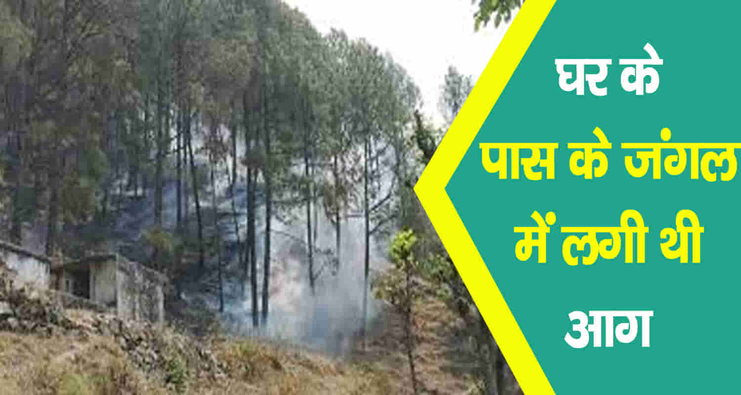 Himachal hamirpur forest burnt woman suffocation difficulty breathing
