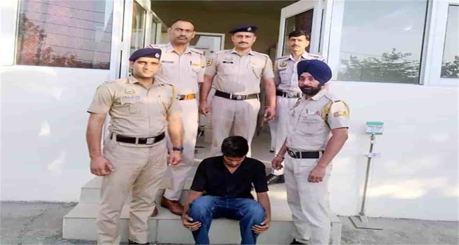 Himachal bilaspur chitta kingpin arrested