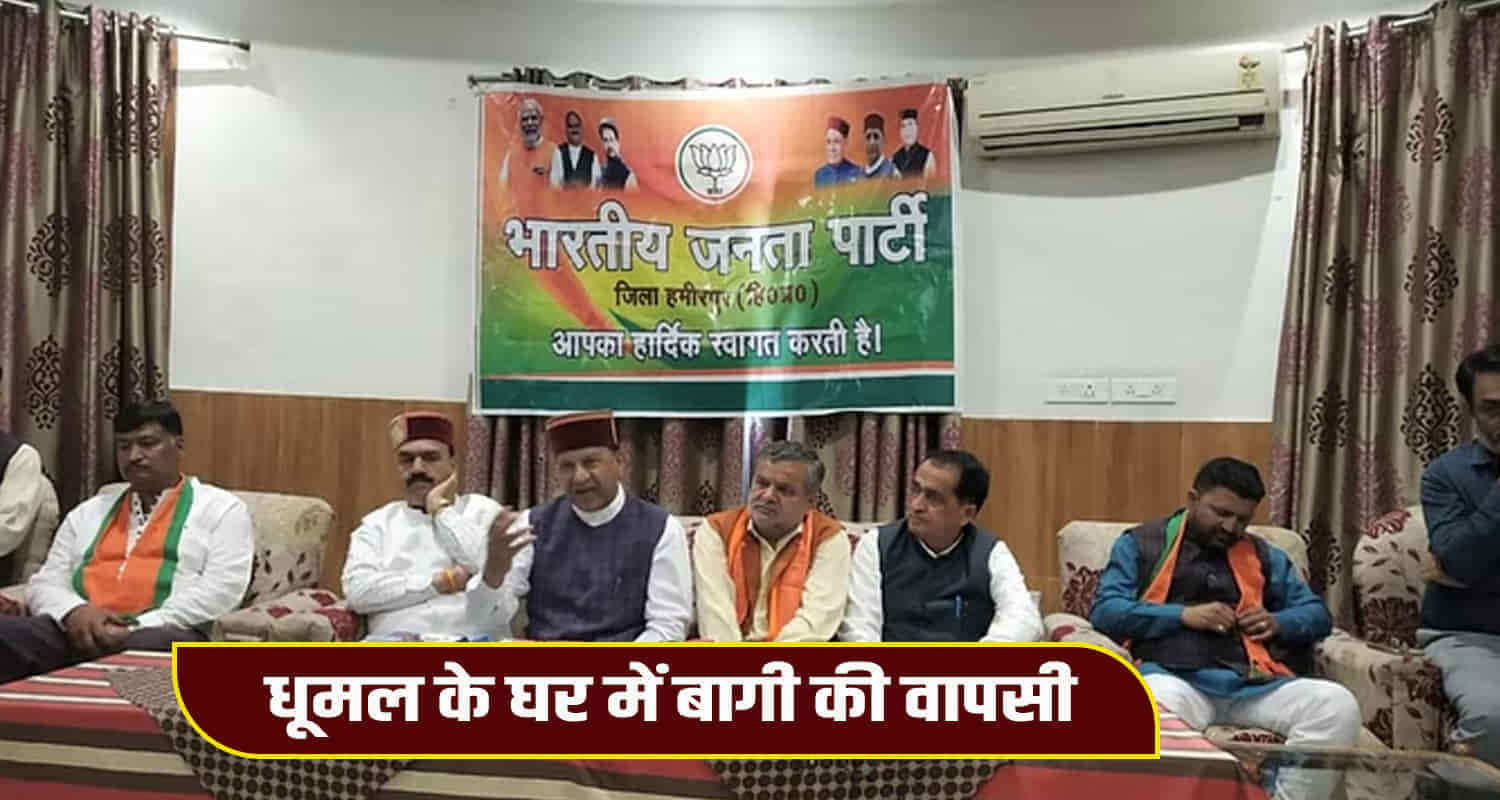 Himachal hamirpur rebel sanjeev sharma returns bjp prem kumar dhuma anurag thakur