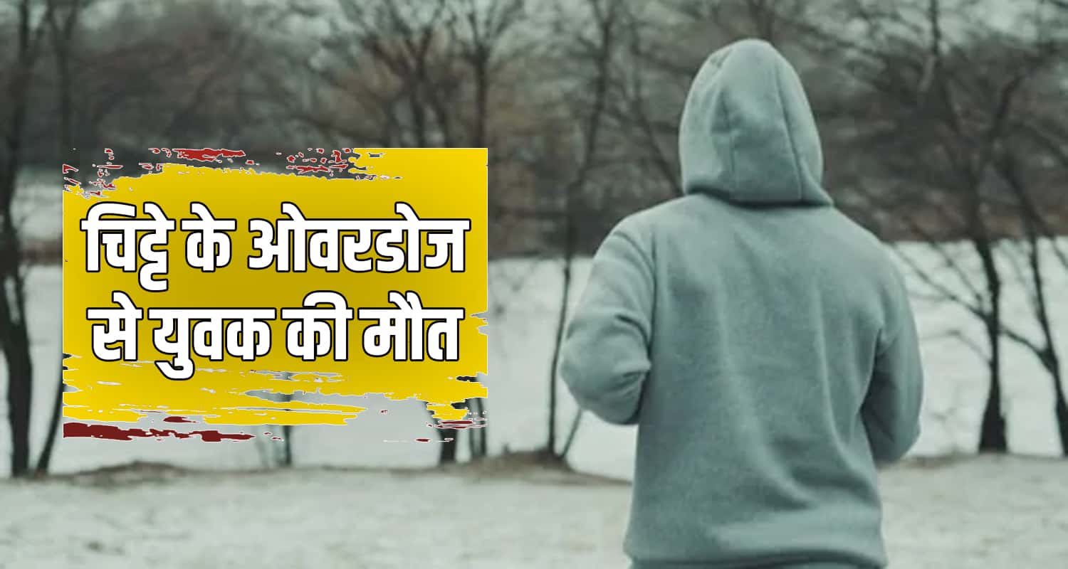 Himachal chitta kangra drug news