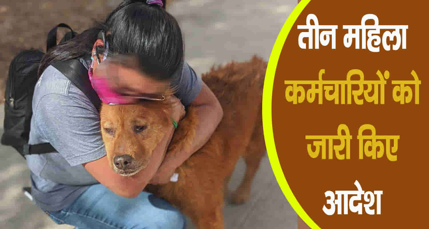 Himachal dog in govt house not allowed sirmaur