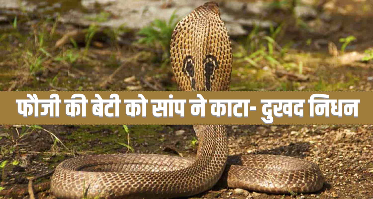 Himachal snake bite solan treatment hospital cantonment