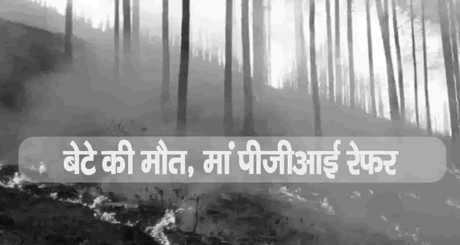 Himachal shimla rampur burnt forest mother son burnt