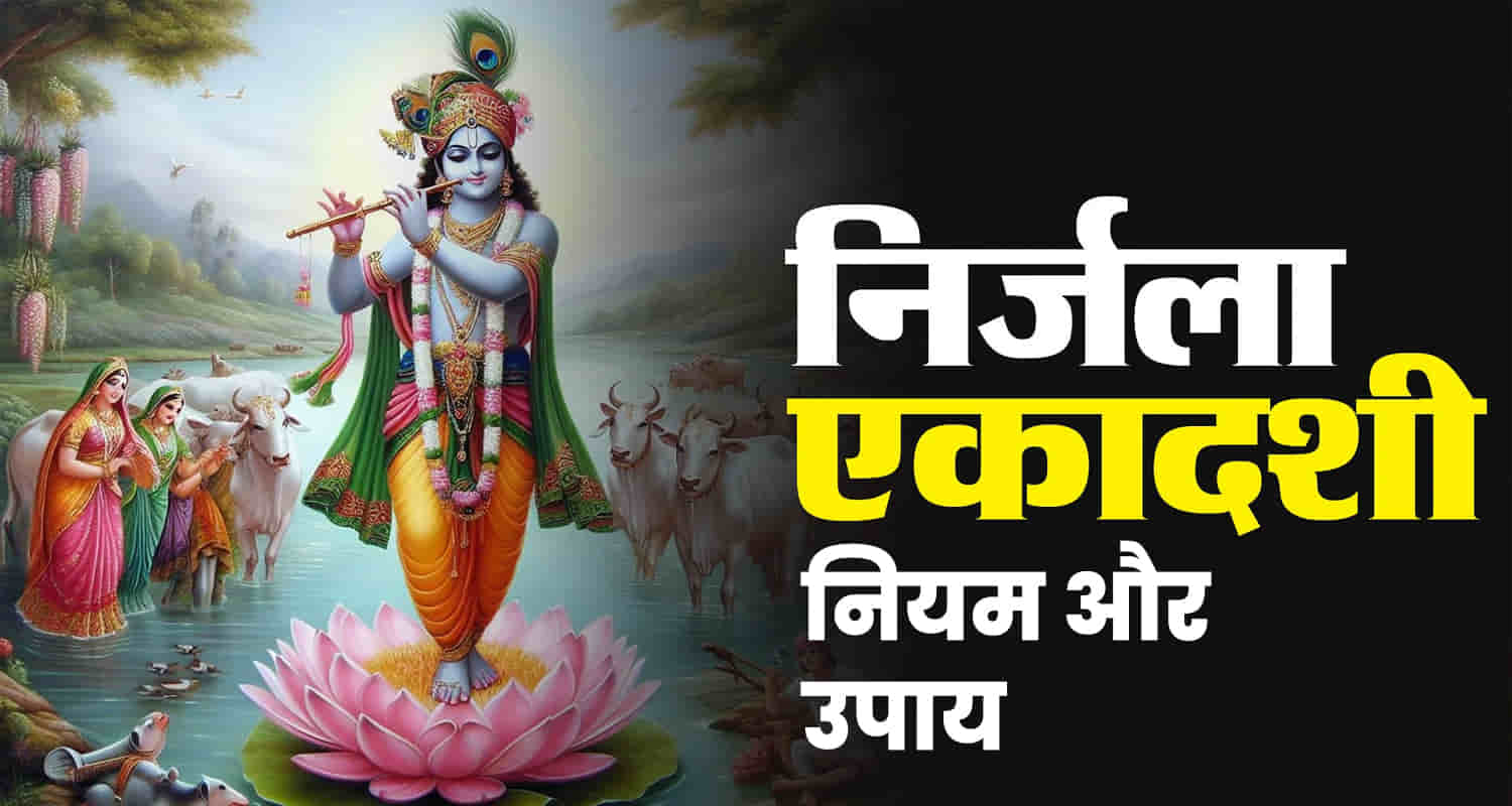 Nirjala ekadashi 2024 benefits vrat solutions