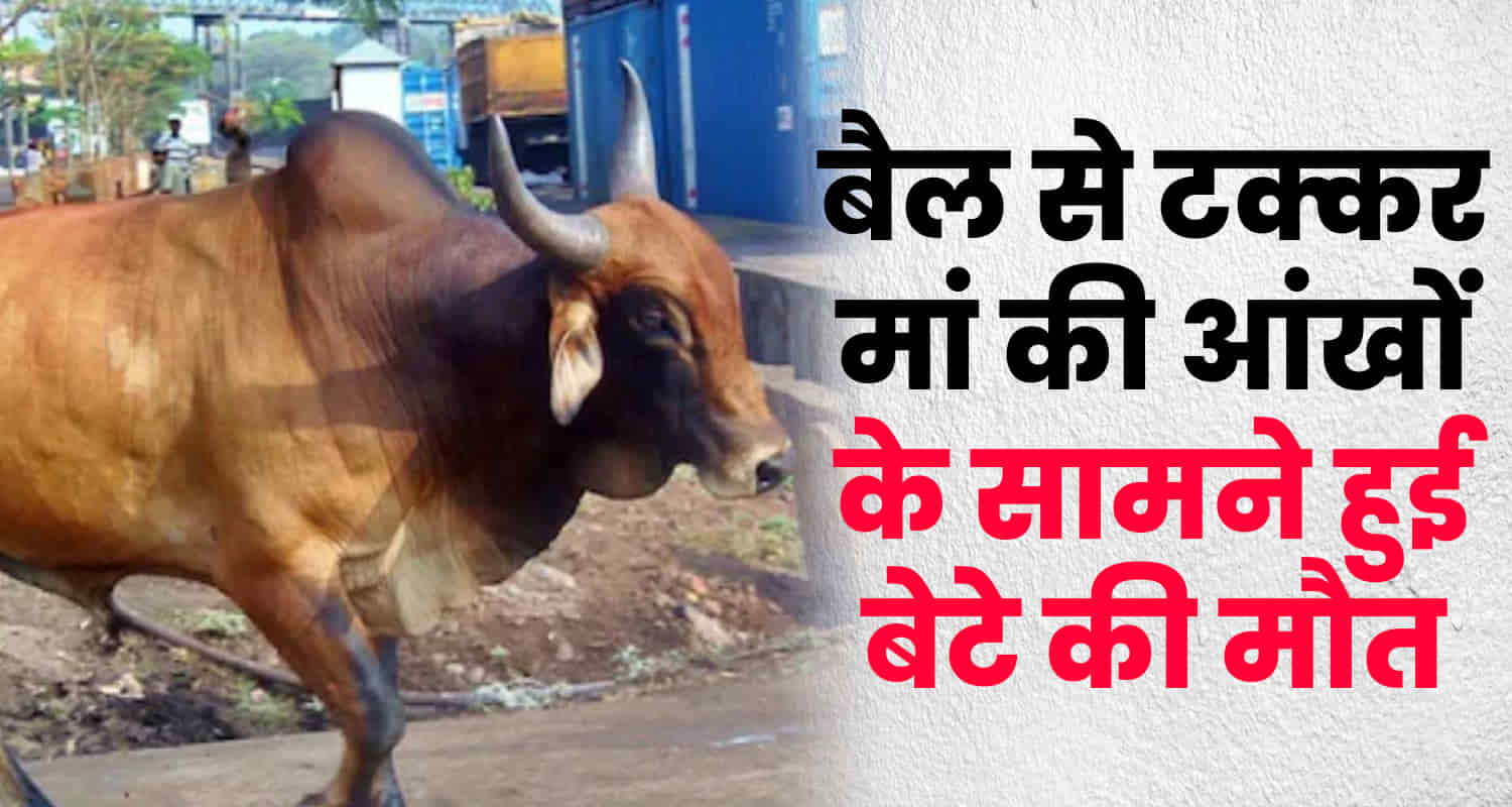 Ox bike collided kullu boy jiya bijora four lane road