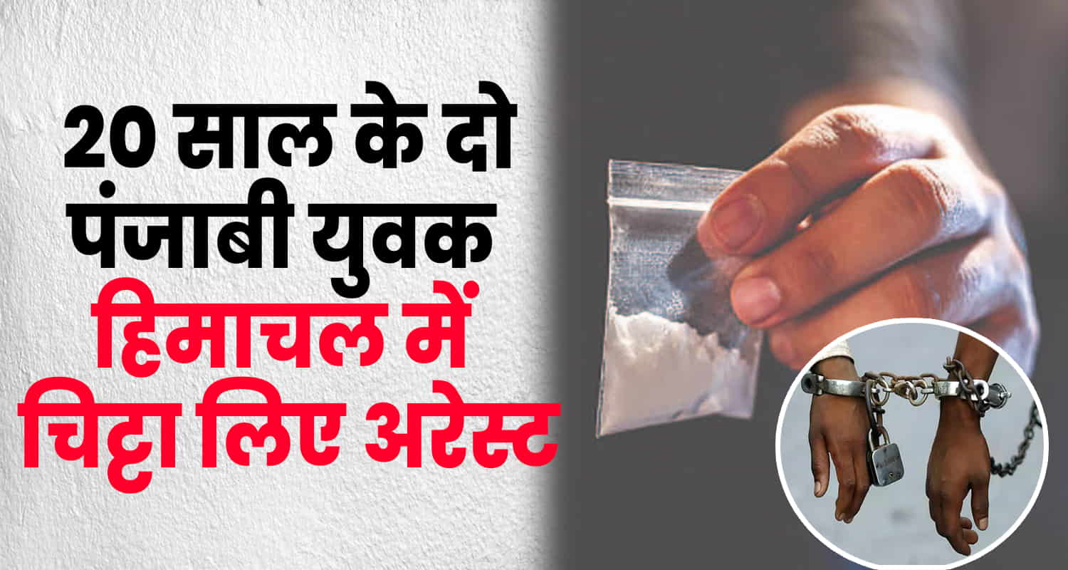 Himachal shimla two 20 year old punjabi youth consignment chitta arrest