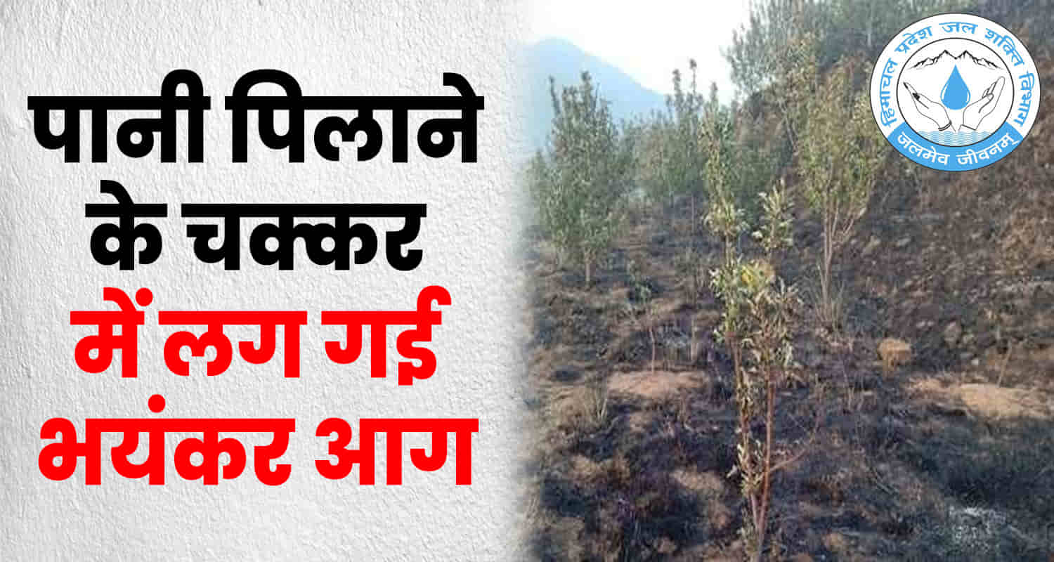 Shimla fire jal shakti department kotkhai theyog apple pears garden