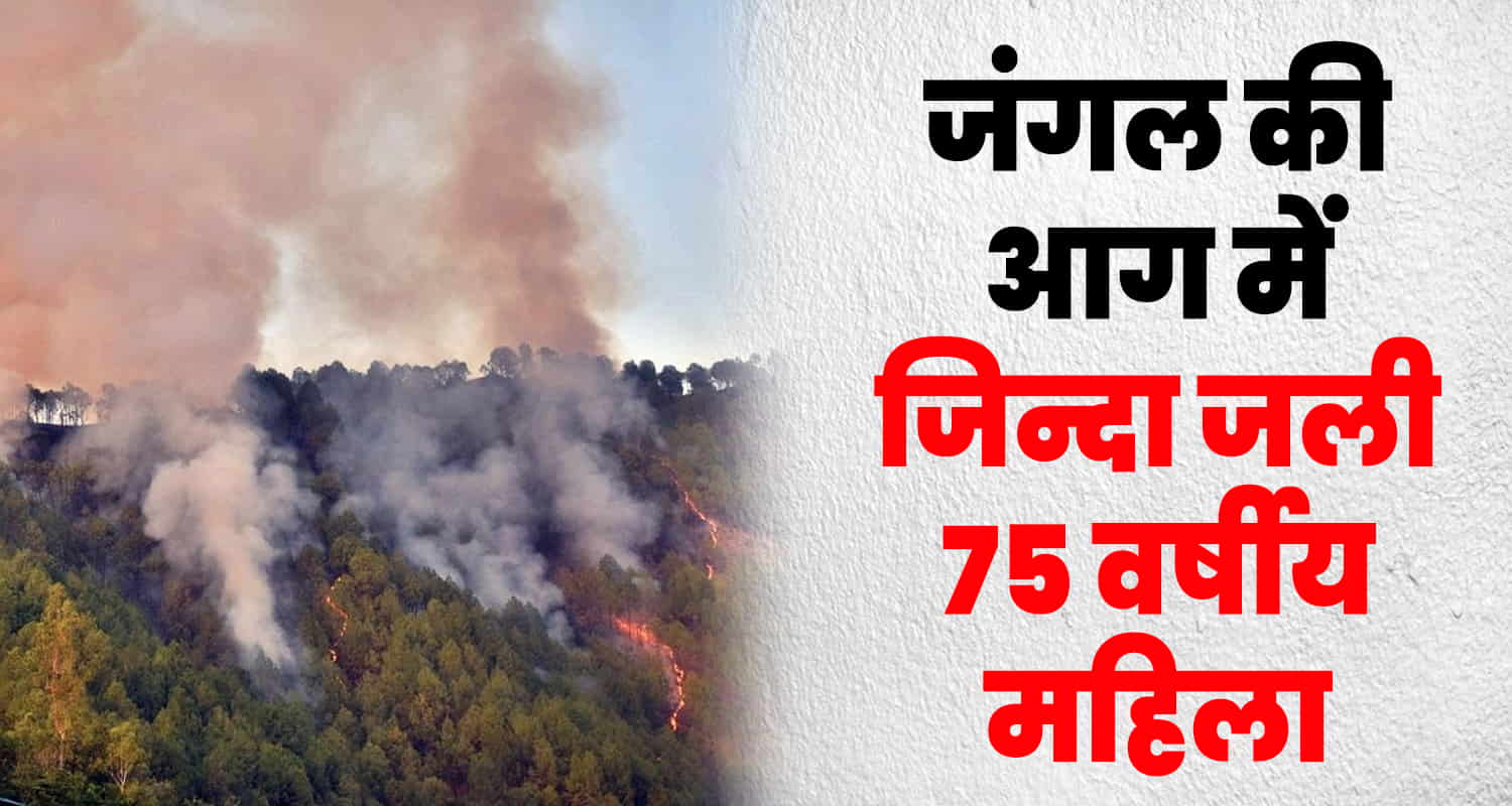 Himachal hamirpur forest fire old women 75 year old