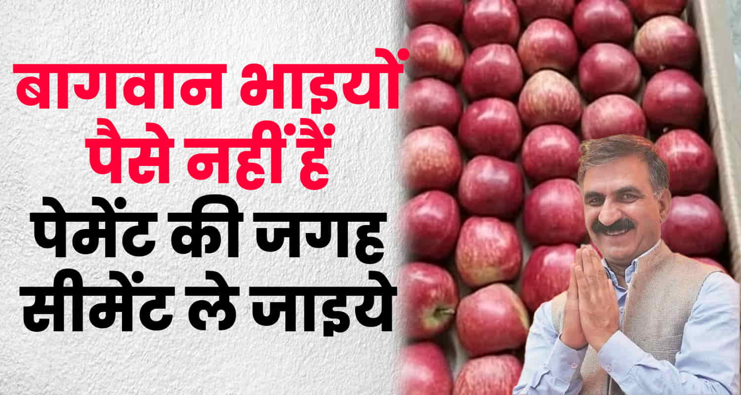 Himachal pradesh himfed orchards cement payment