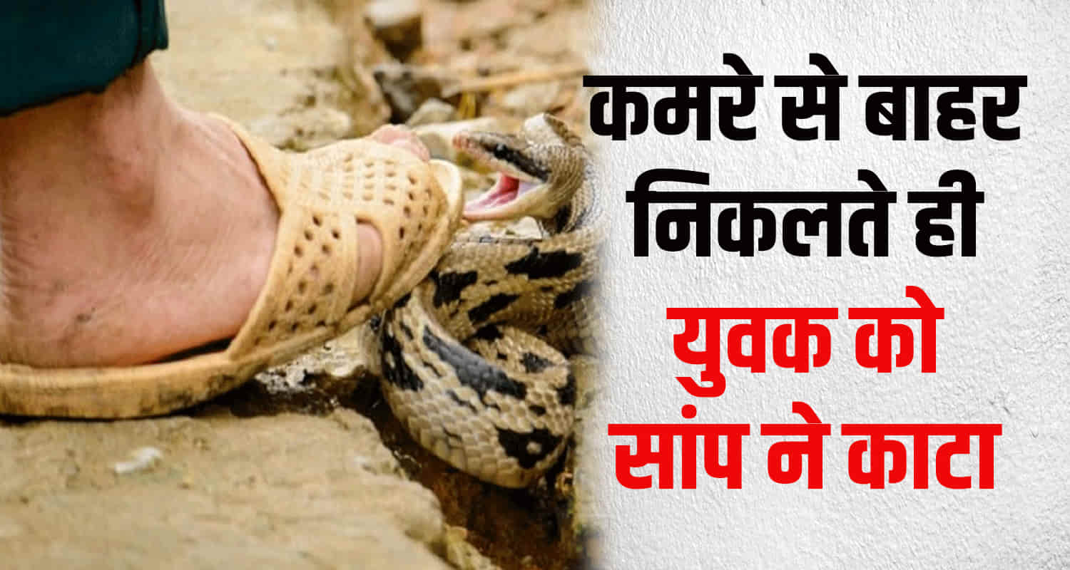 Solan boy snake bite baddi himachal pradesh pgi jharmajri