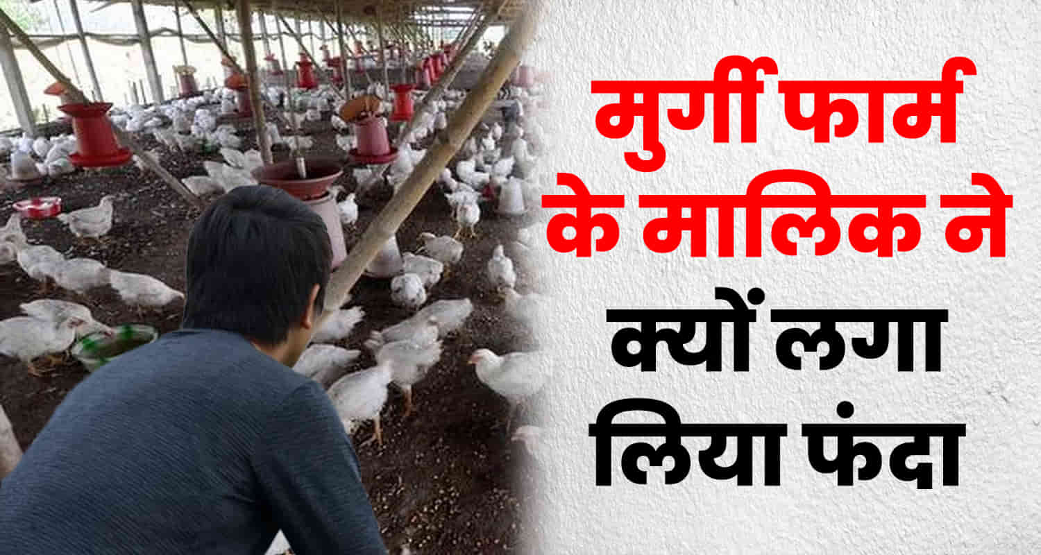 Una poultry farm tahliwal man owner himachal