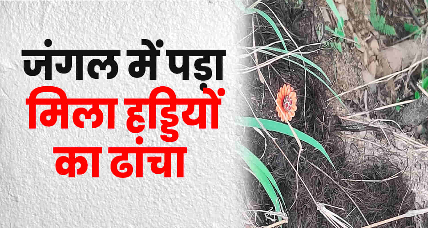 Kangra forest body skeleton himachal jawali