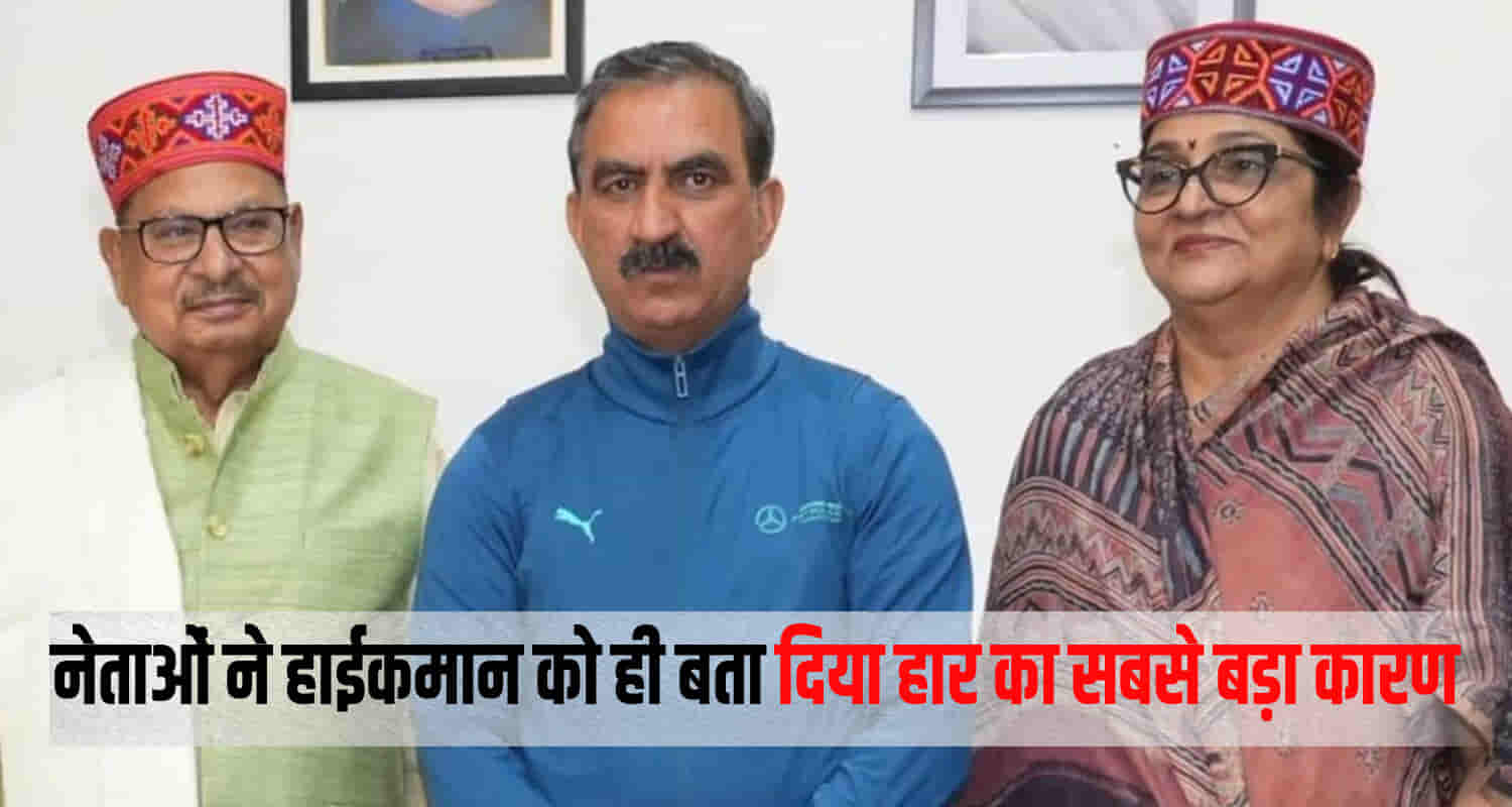 Himachal leaders fact finding committee reasons defeat lok sabha elections