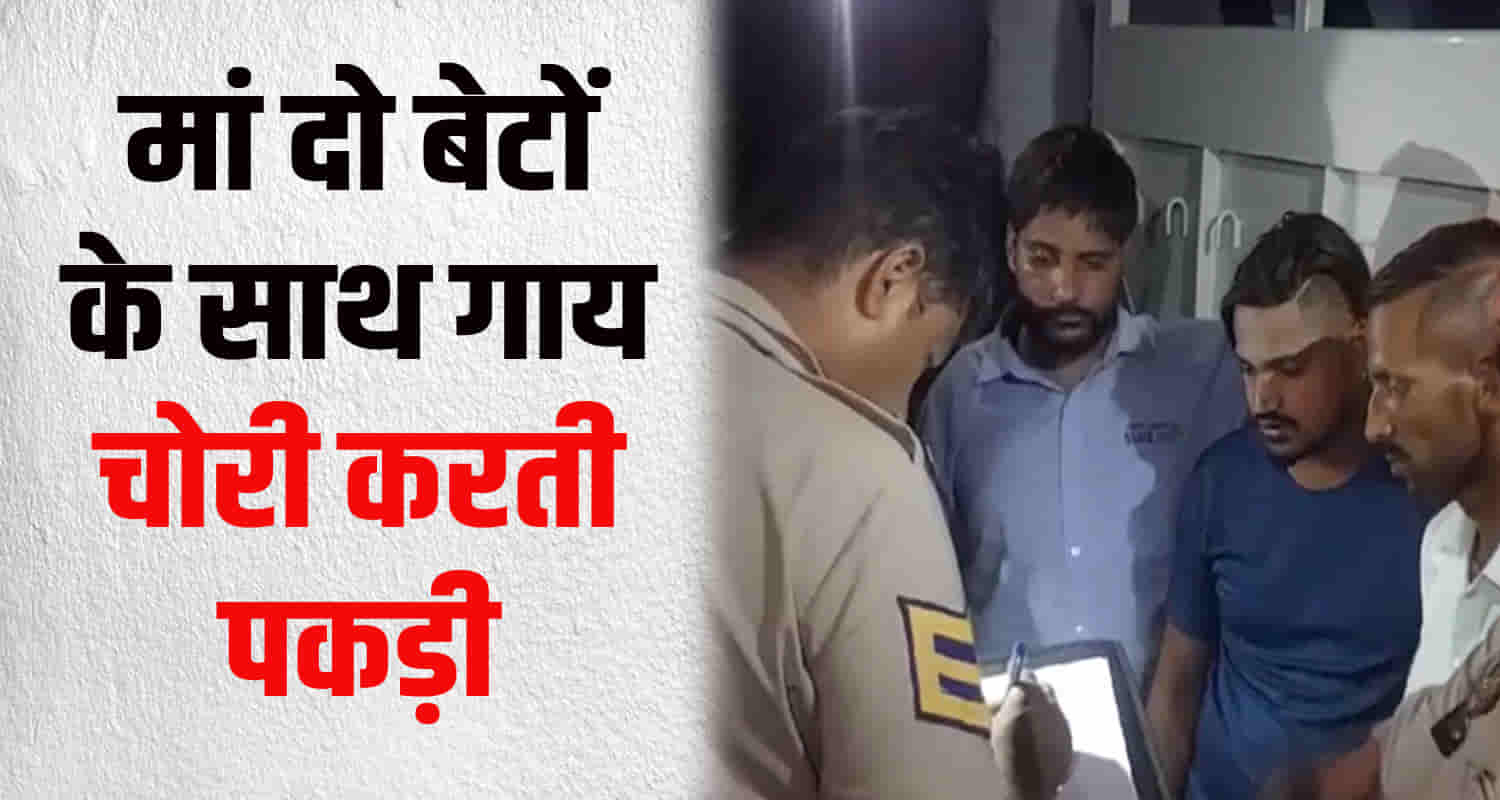 Mother and two son steal cow kangra district himachal