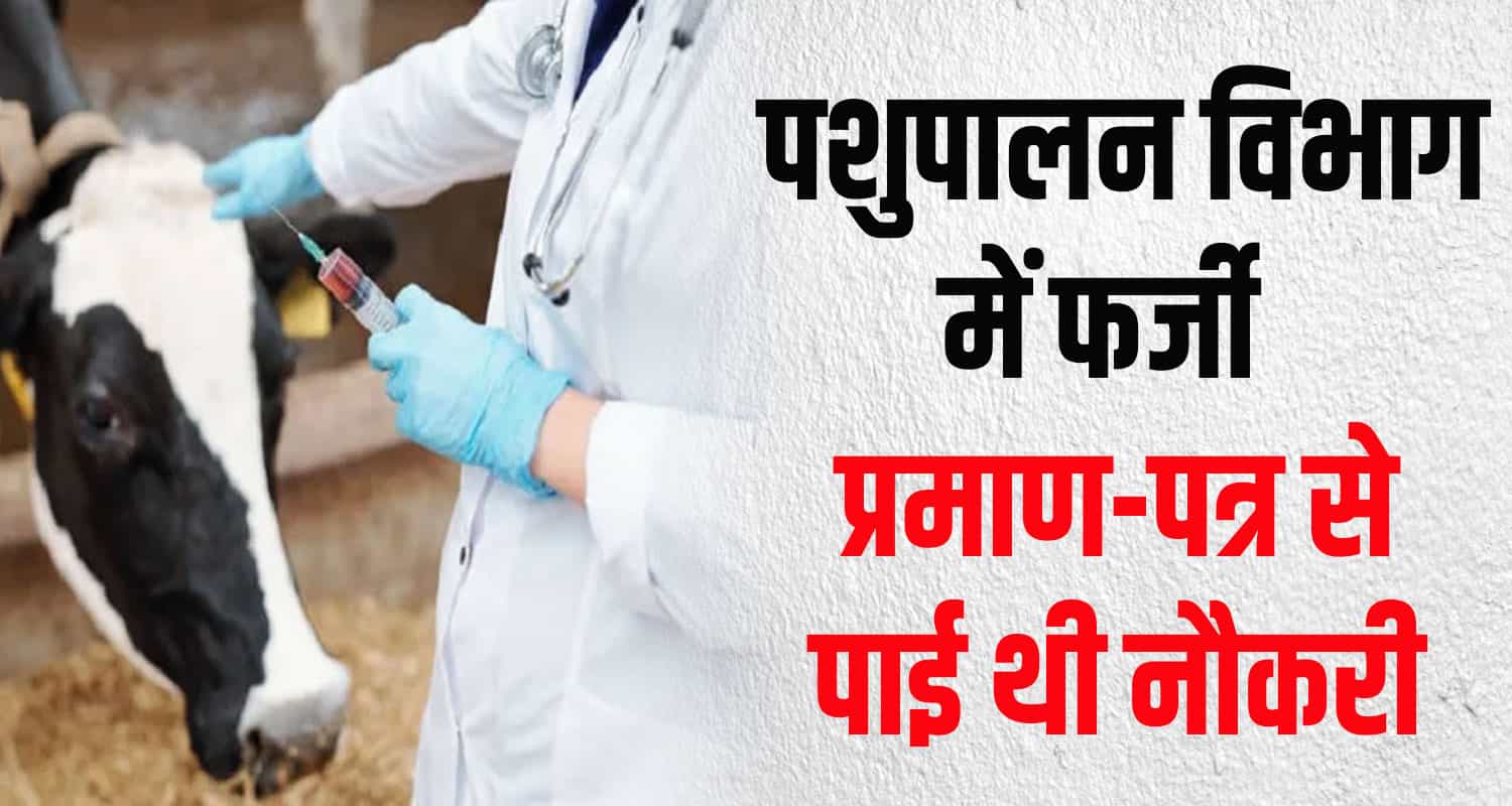 Fake certificates job pharmacists himachal sarkaghat mandi patwari vigilance