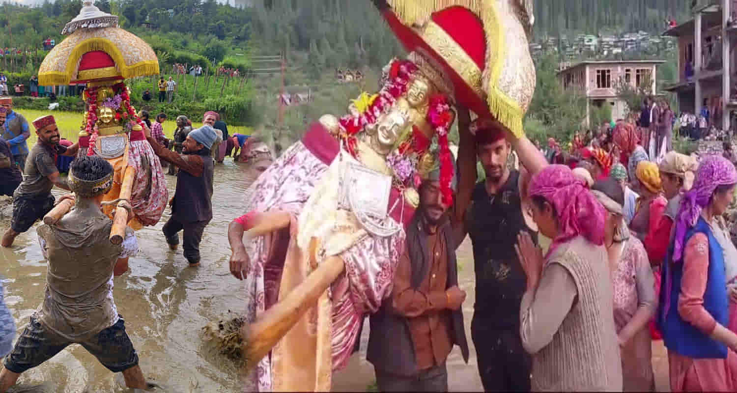 Himachal kullu sainj valley gods and goddesses reach field villagers plant paddy