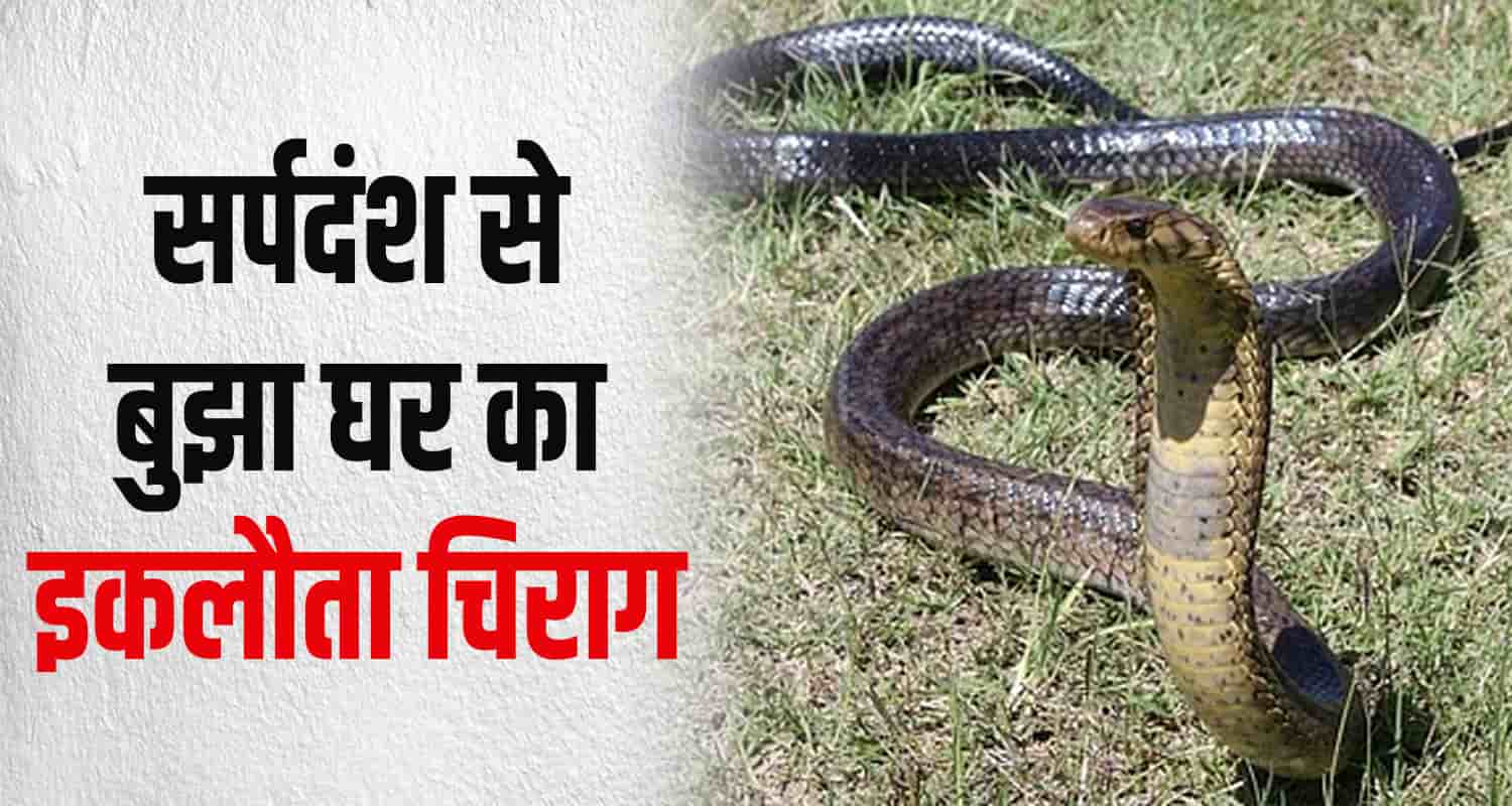 Snake bite 10 years old boy shahpur kangra