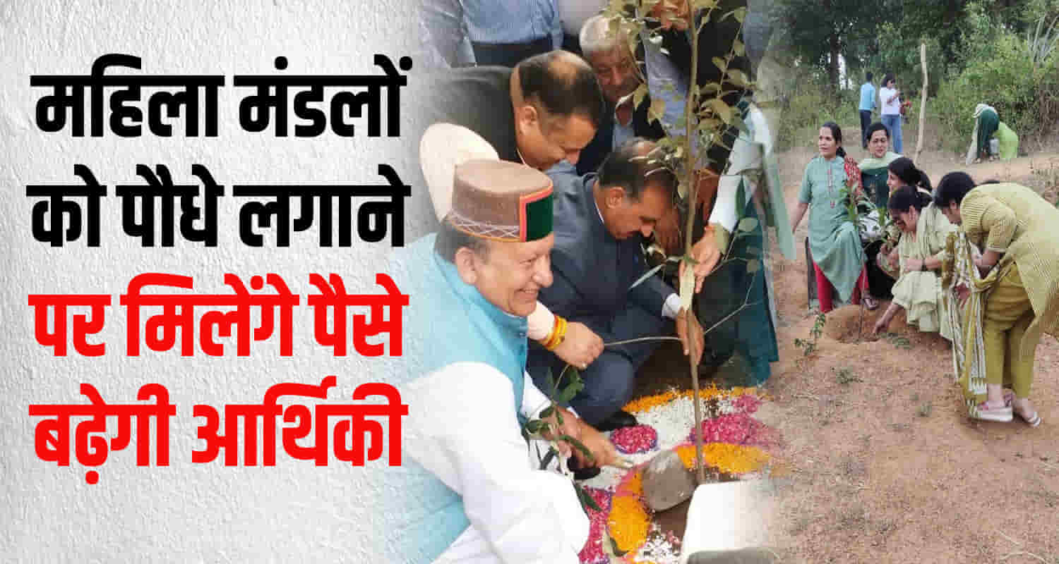 Chief minister sukhwinder singh sukhu inaugurated the 75th state level forest festival