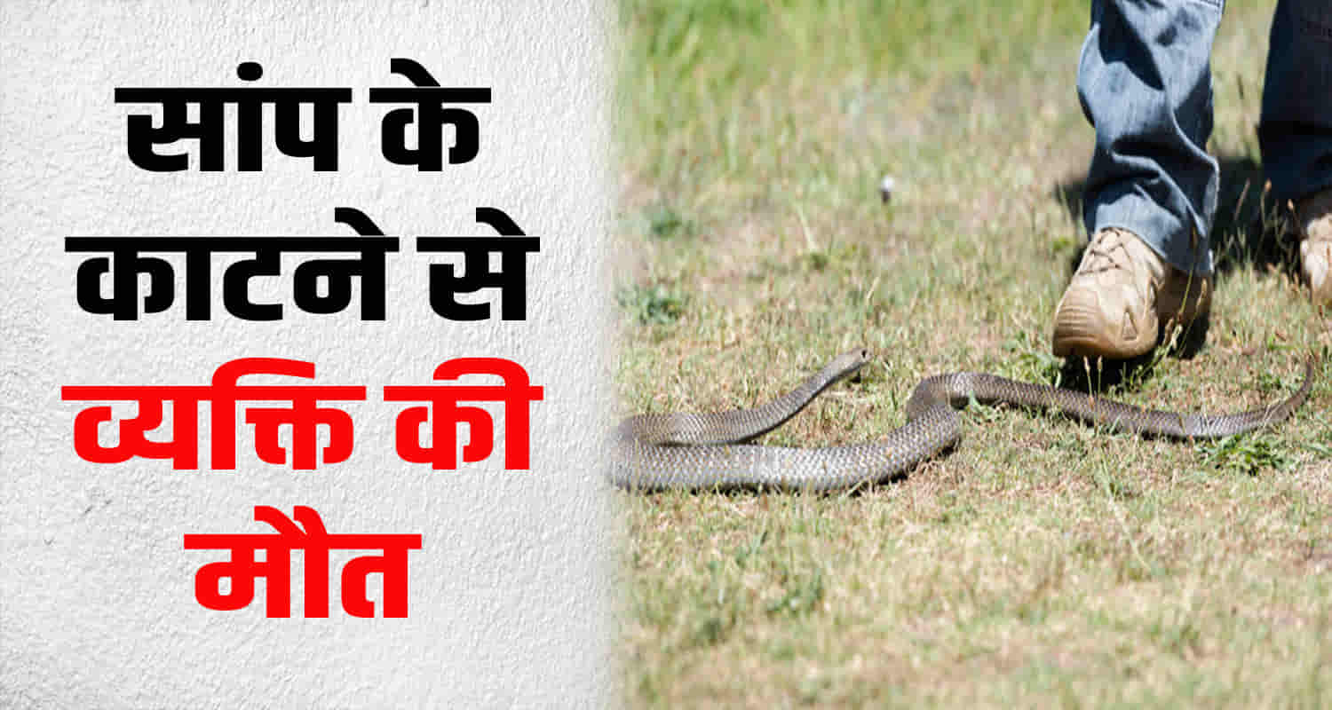 Himachal bilaspur ghumarwin man snake bite