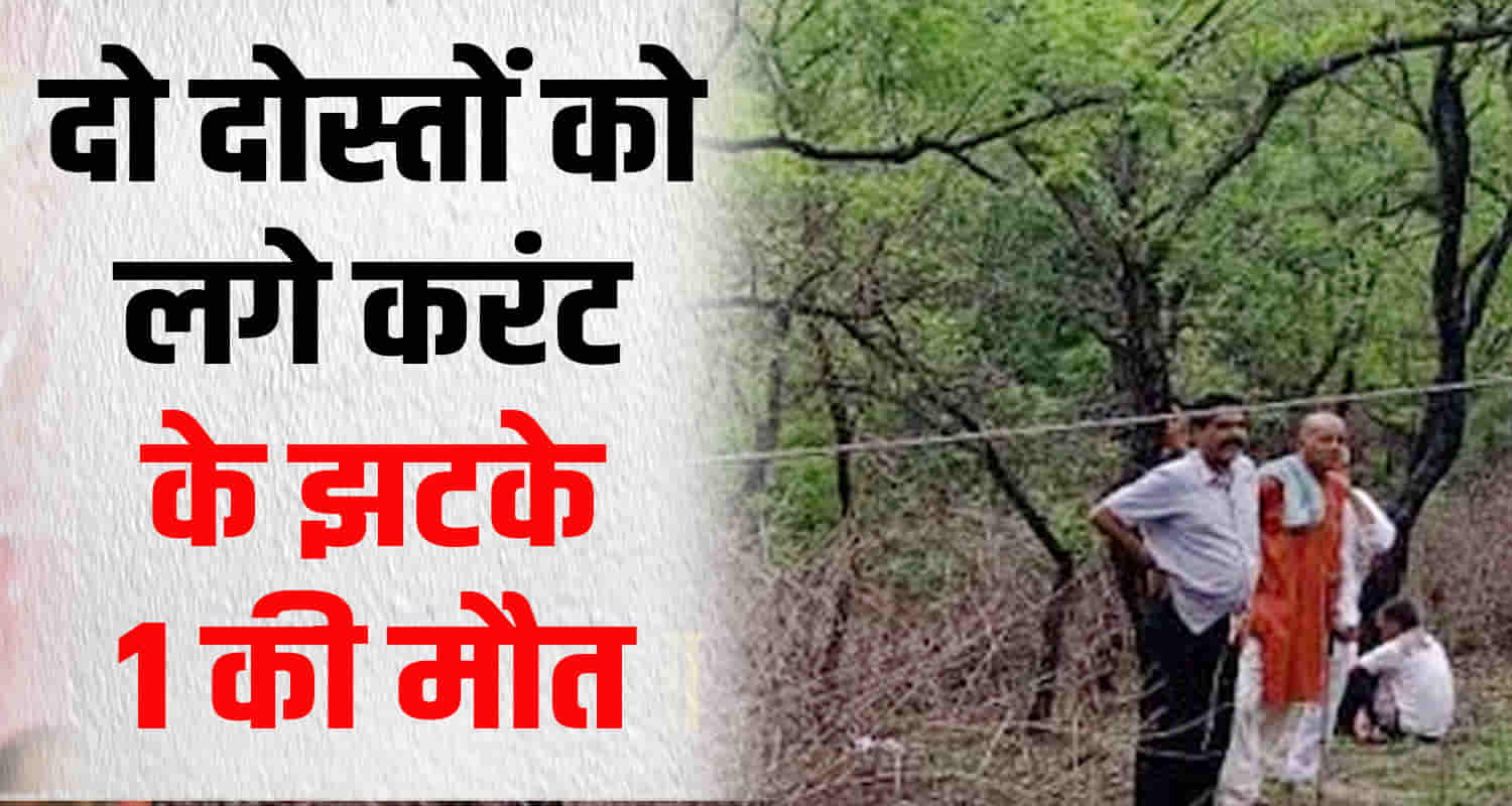 Himachal hamirpur sujanpur two youths came in contact electric wires