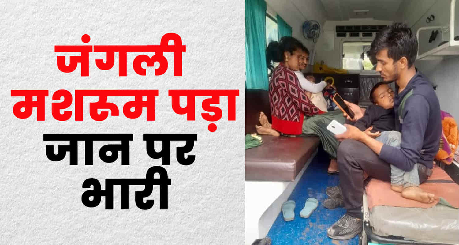 Mandi mushrooms forests eating family five people ill seraj