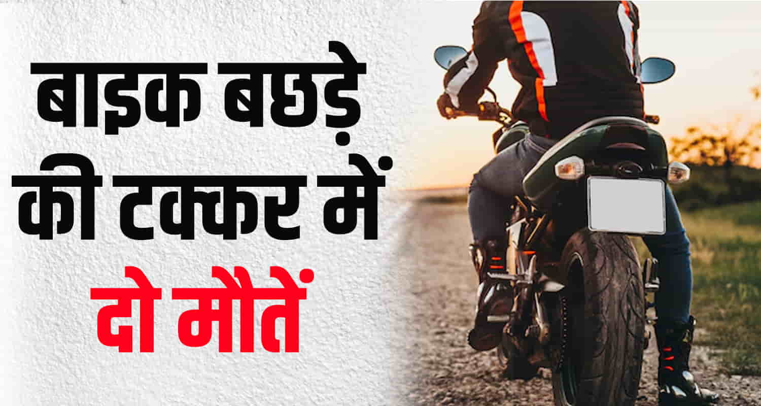 Bike road cow kangra kcc bank nagrota bagwan boy palampur