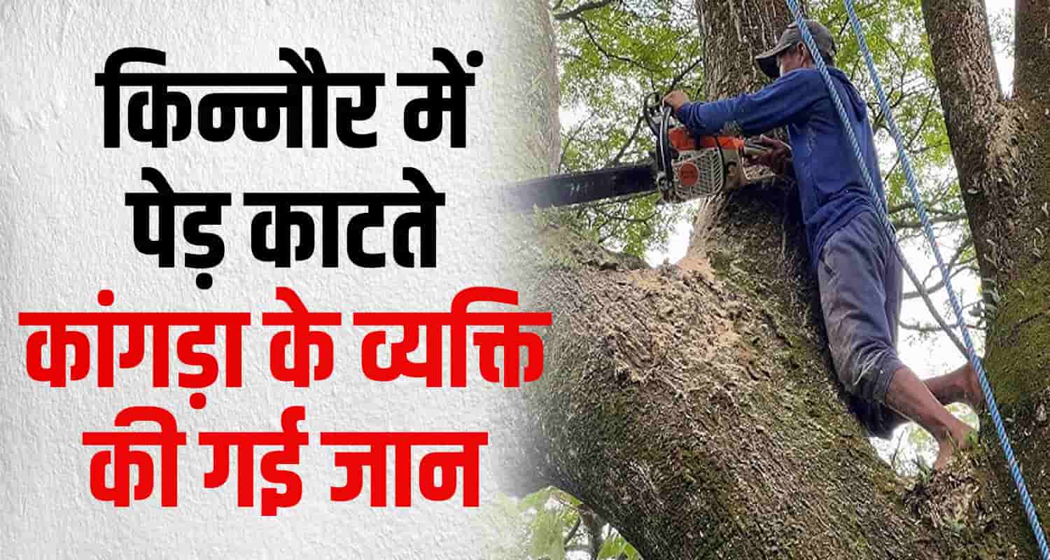 Himachal kinnaur kangra man cut tree hill chest pain