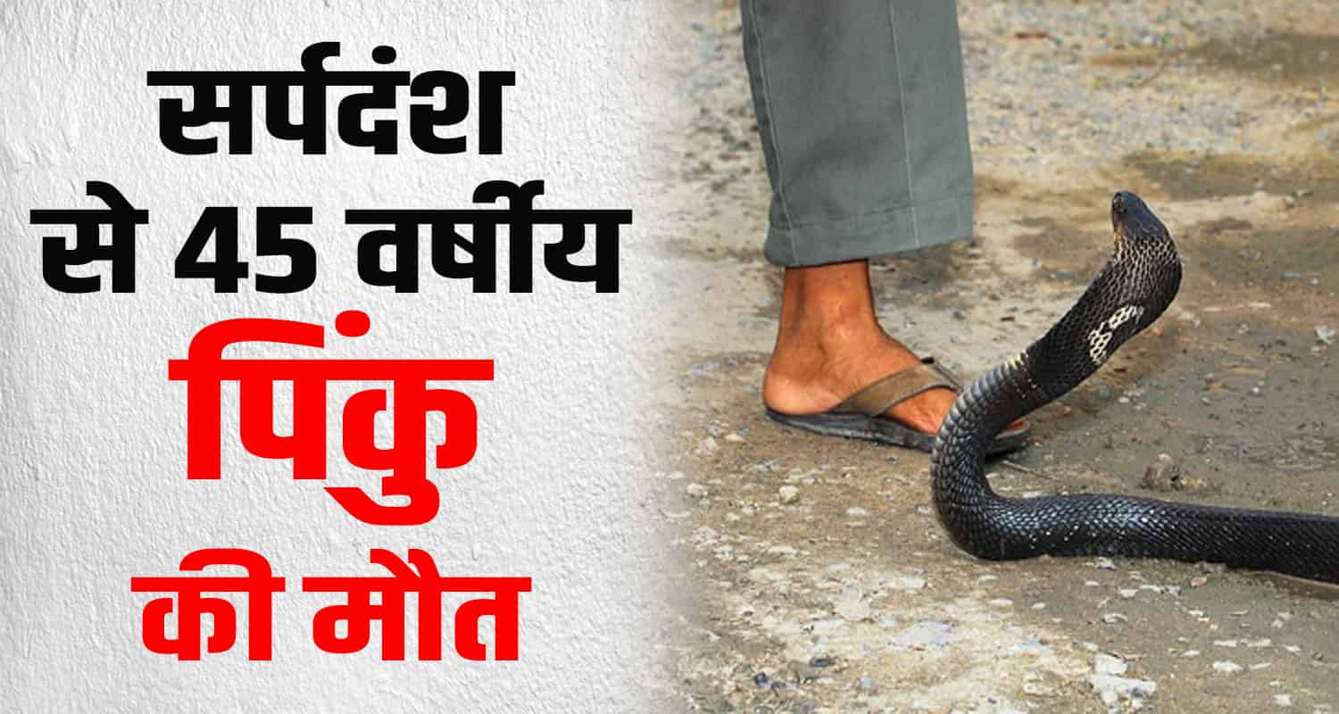 Una amb snake bite civil hospital himachal