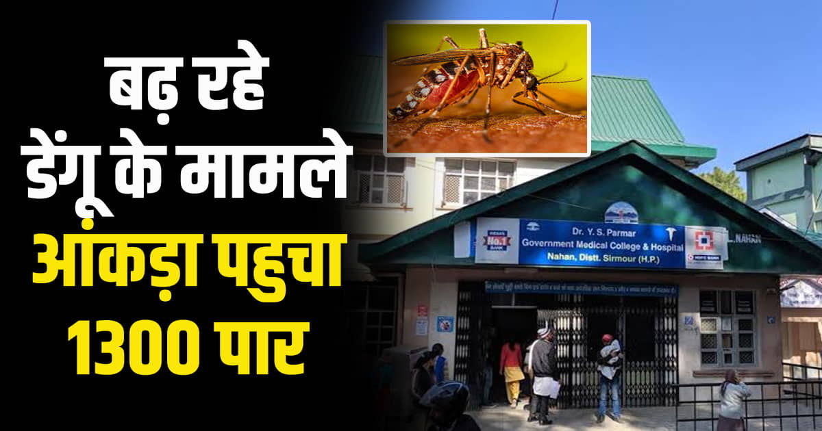 Dengue cases cross 1300 himachal know how safe
