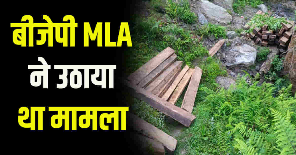 Deputy ranger and forest guard suspended illegal felling case himachal kullu banjar contractor fined rs 99 lakh