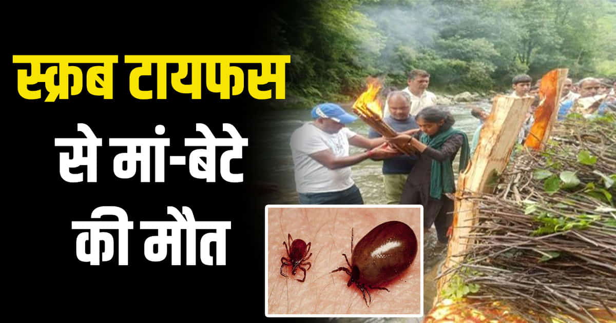 Himachal chamba insect mother son father sister