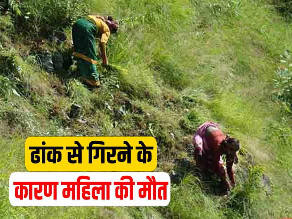 Chamba women grass cutting ditch himachal pradesh