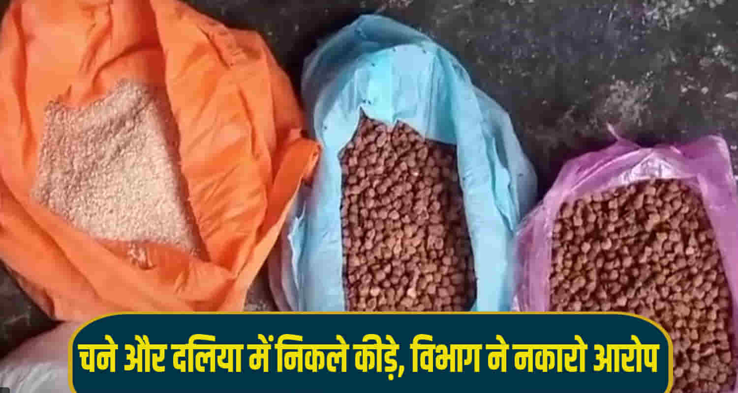 Insects found in ration anganwadi centre himachal sirmaur paonta sahib