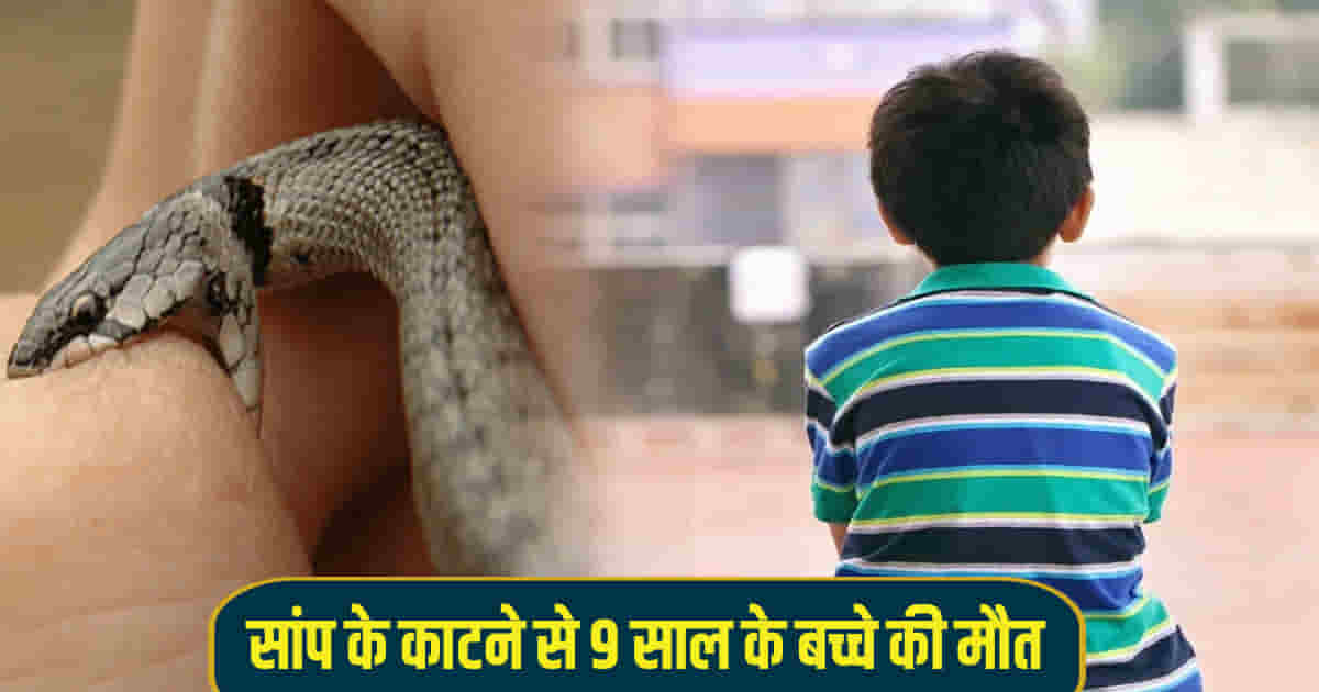 Himachal kangra fatehpur 9 year old child tanda hospital snake bite