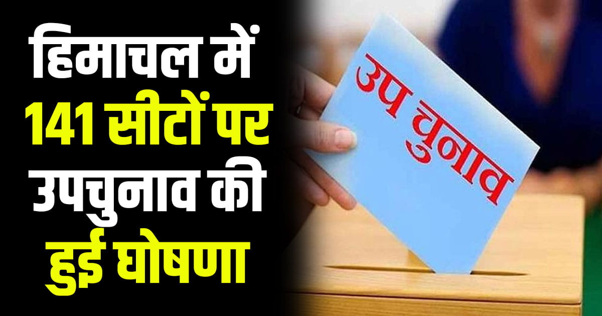 By election again himachal contest held more than 100 seats