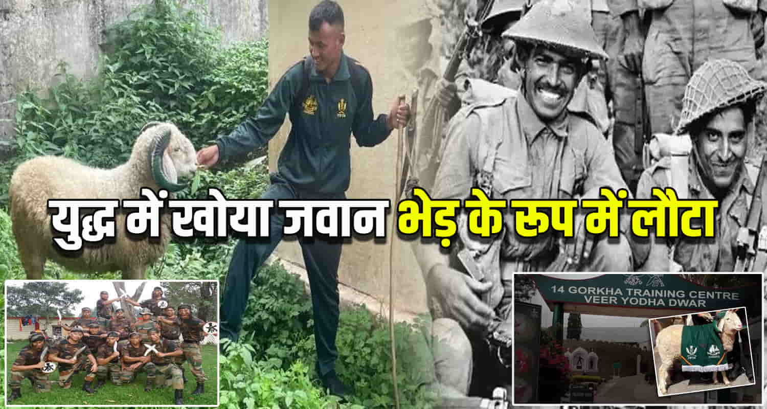 Himachal news gorkha rifles soldier rifleman chinta bahadur solan dagshai is still alive as a sheep