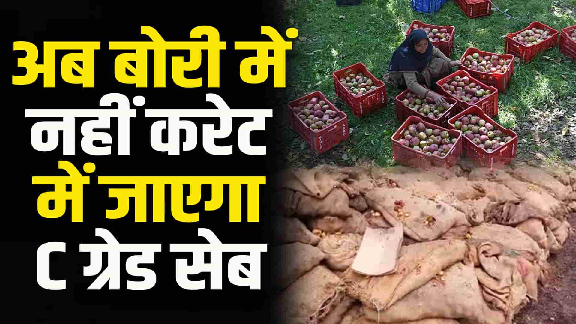 Himachal another change in apple procurement shopping will be done in carts and not in sacks