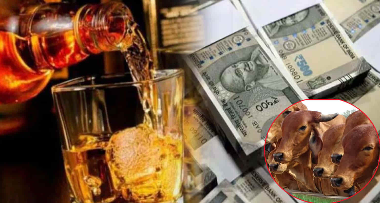 How much himachal government earns imposing cess liquor know details