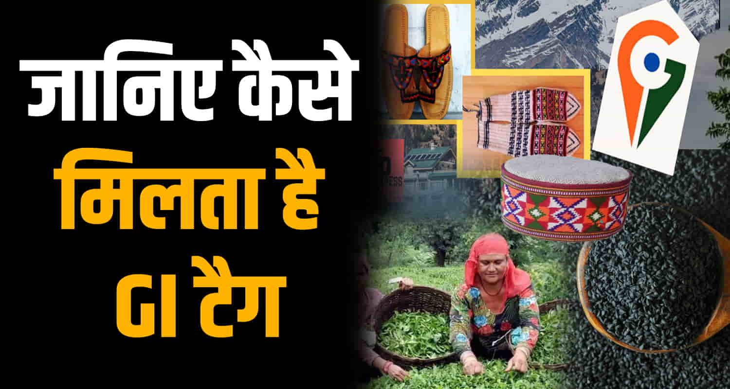 Gi tag himachal product 15 kullu shawl news kinnouri cap kangra tea first tag